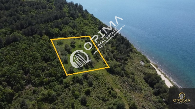 OPİMA EMLAKTAN OCAKLARDA ŞAHANE DENİZ MANZARALI 1396M&sup2; SATILIK ZEYTİNLİK