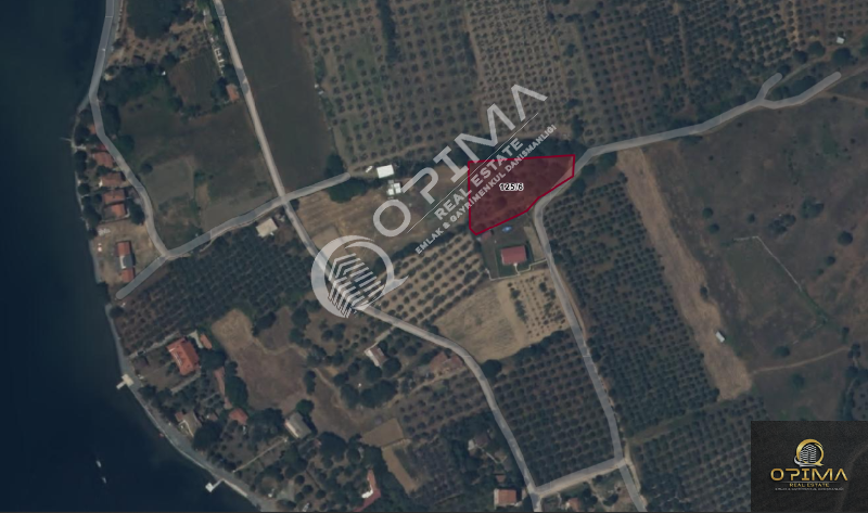 OPİMA EMLAK'TAN PAŞALİMANI ADASINDA YOLA CEPHE SATILIK TARLA