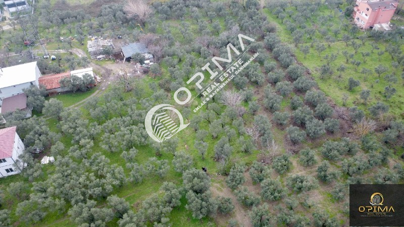 OPİMA EMLAK'TAN OCAKLAR MAHALLESİNDE YATIRIM FIRSATI 950 M&sup2; ZEYTİNLİK