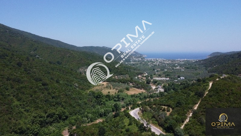 OPİMADAN TURANLARDA ANA YOLA CEPHE 1847M&sup2; SATILIK ZEYTİNLİK